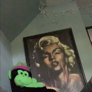 Meet your Posher, Ashlie